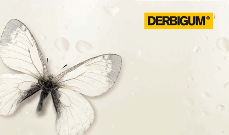 DERBIGUM